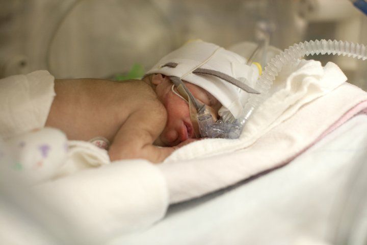 premature baby in incubator
