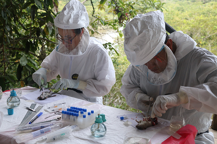 Cusi Ferradas, DVM, MPH, and team conducting research fieldwork in Peru