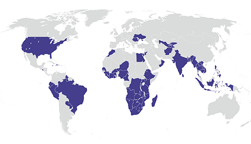 Illustration of map with highlighted countries where we work